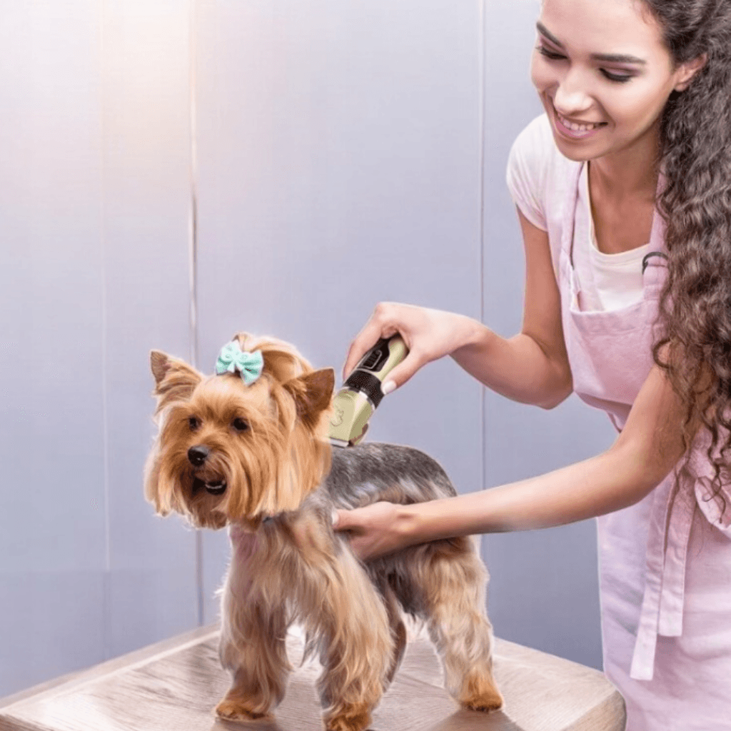 Cluddy Groom - Maszynka do pełnej pielęgnacji i strzyżenia tułowia psa