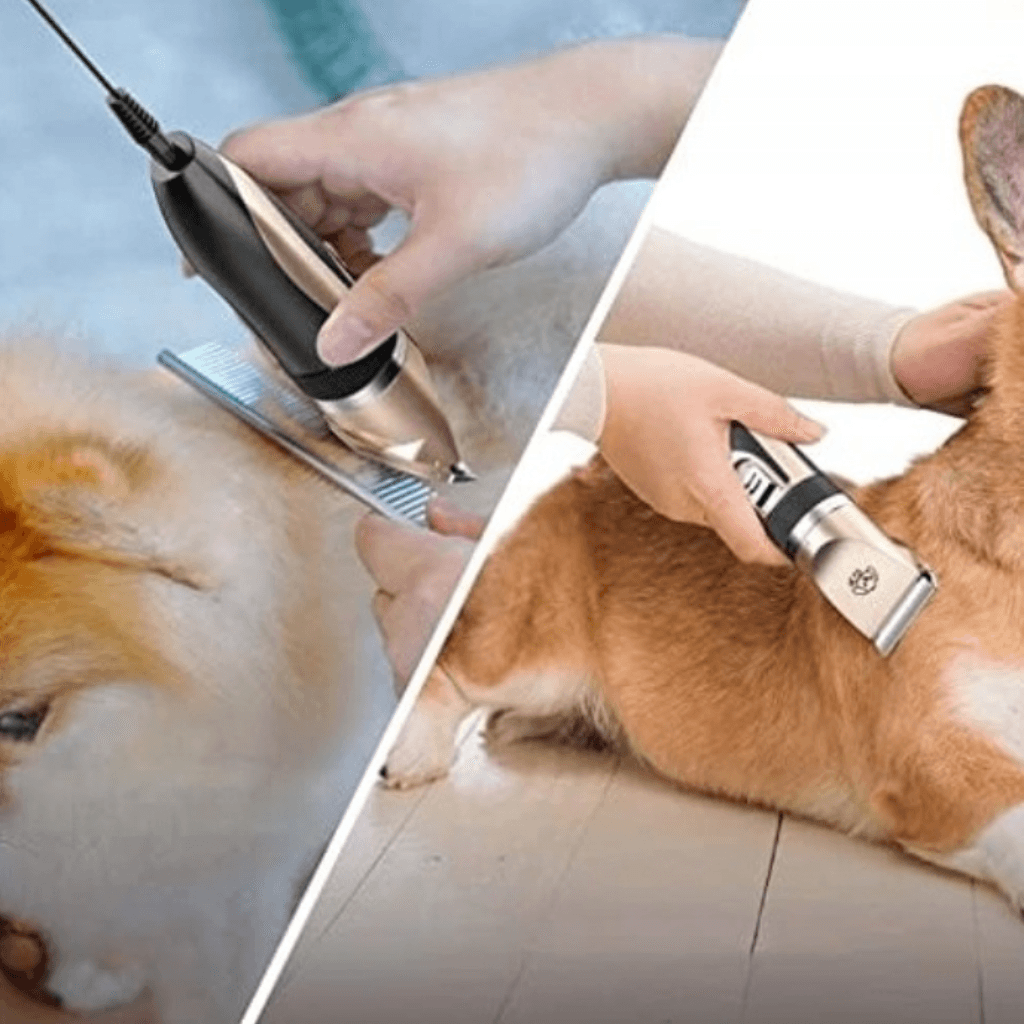 Cluddy Groom - Maszynka do pełnej pielęgnacji i strzyżenia tułowia psa