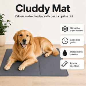 Cluddy Mat - Mata chłodząca dla psa na upalne dni