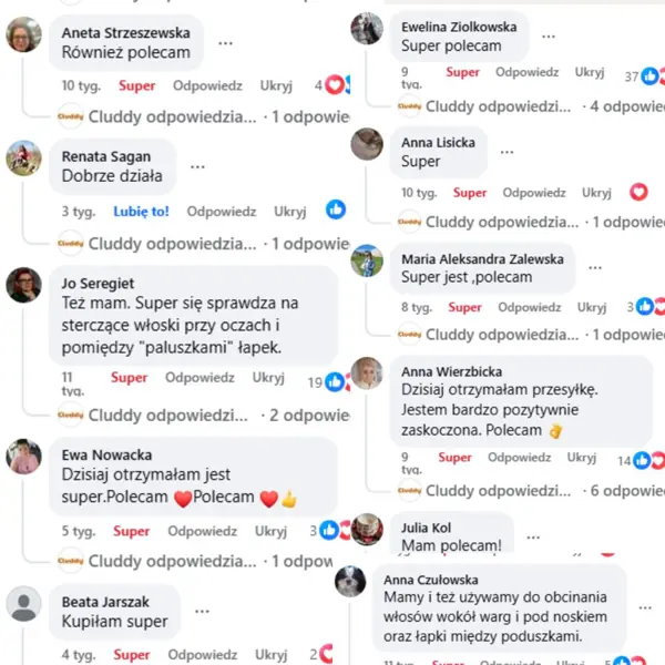 Komentarze klientów Cluddy z Facebooka